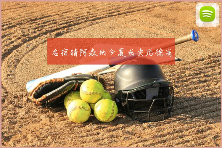 名宿猜阿森纳今夏或卖厄德高
