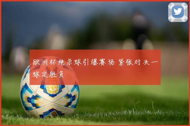 欧洲杯绝杀球引爆赛场 紧张对决一球定胜负