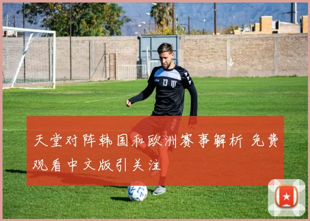 天堂对阵韩国和欧洲赛事解析 免费观看中文版引关注