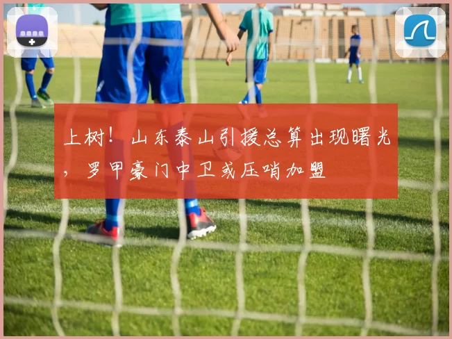 上树！山东泰山引援总算出现曙光，罗甲豪门中卫或压哨加盟