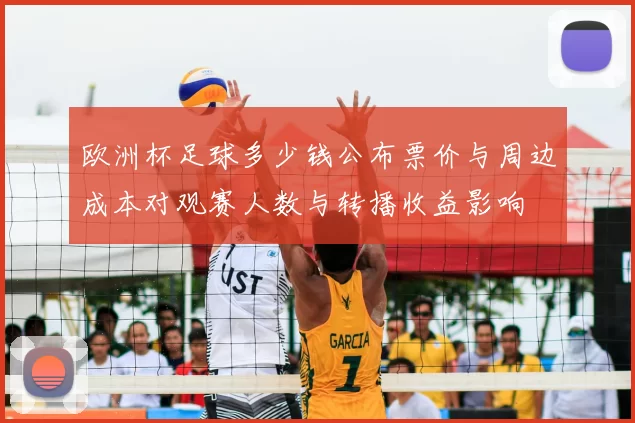 欧洲杯足球多少钱公布票价与周边成本对观赛人数与转播收益影响