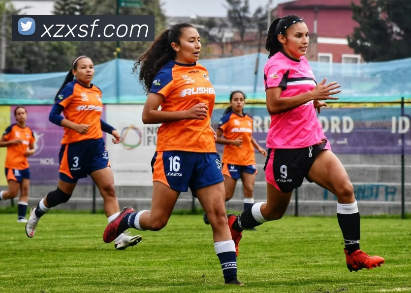 世界杯图片回顾盘点2018焦点战役与经典进球瞬间